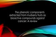 The phenolic components extracted from mulberry fruits as bioactive compounds against cancer: A review